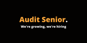 Audit Senior Jobs and Careers in Manchester